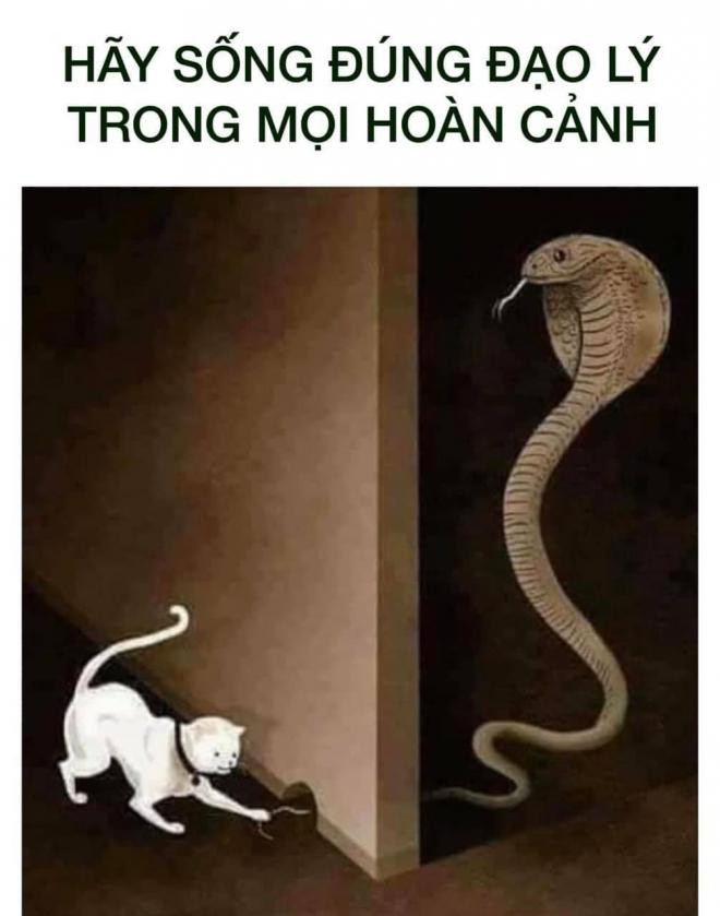 Trọng Hưng 0 Trọng Hưng 0