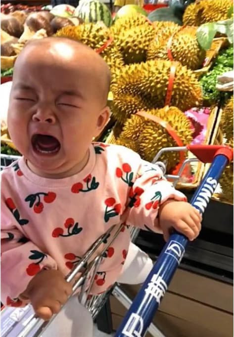 Trẻ đi 2 Trẻ đi 2
