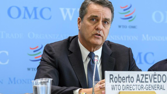 WTO sẽ có nữ Tổng giám đốc đầu tiên - Ảnh 1.