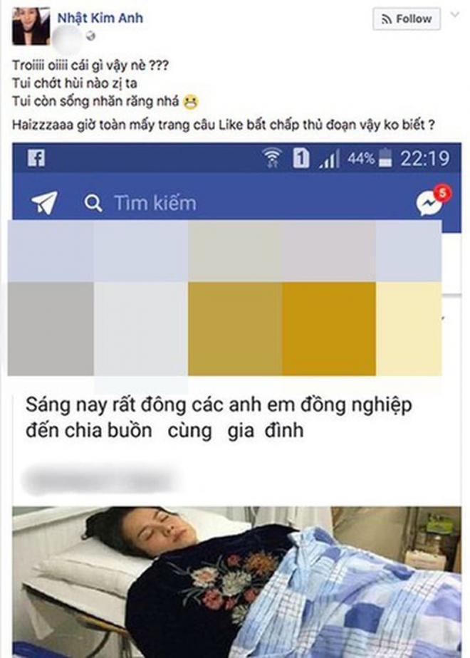 Hồ Việt Trung 3