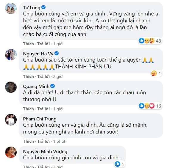 mẹ Trung Ruồi qua đời 0