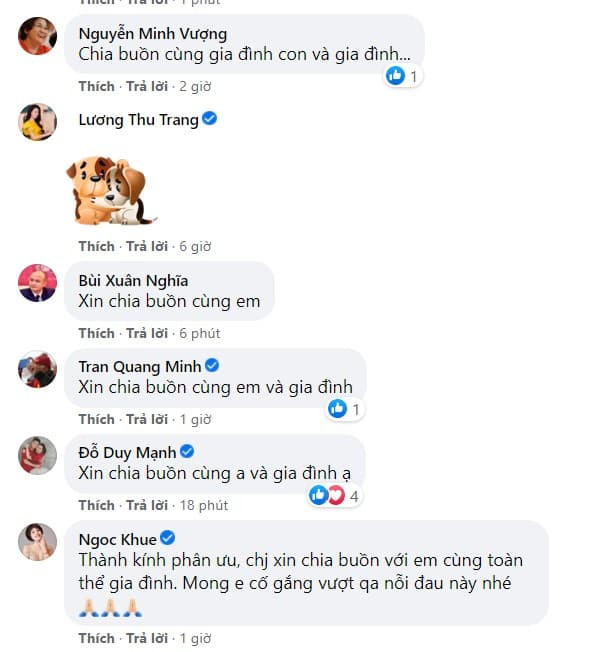 mẹ Trung Ruồi qua đời 1