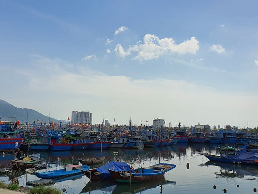 Bo truong LV 3 4.6.jpg