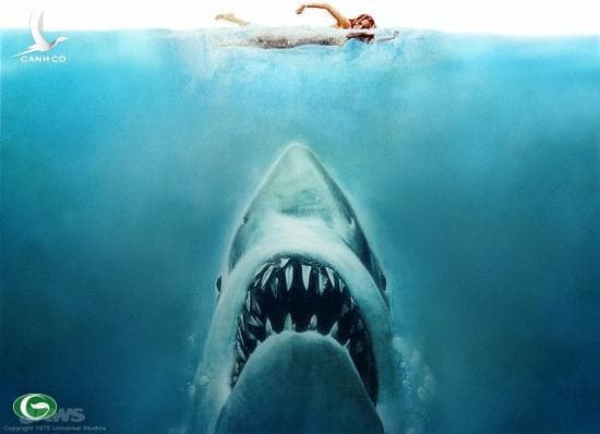Con gái Steven Spielberg tâm sự làm diễn viên khiêu dâm giúp cô được chữa lành 1