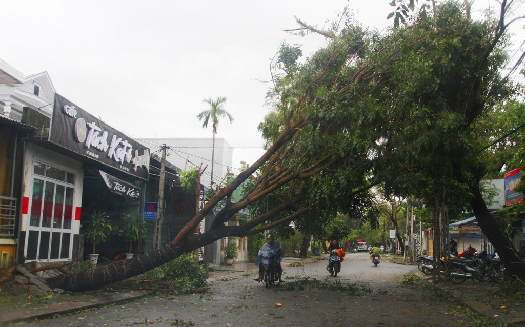 Tàu chìm, nhà sập, trường học tốc mái, cây xanh ngã đổ trong bão số 13 - 13