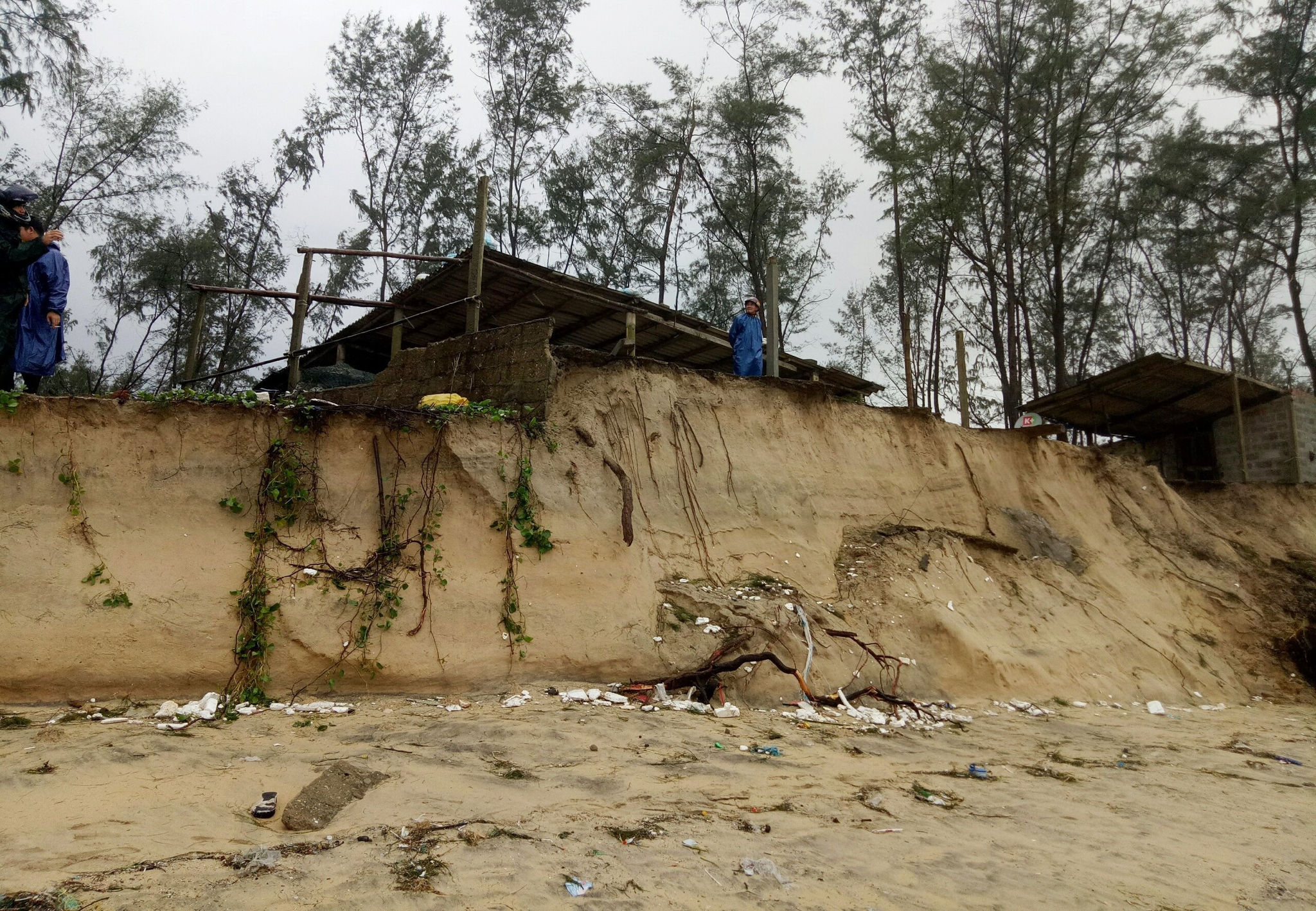 Tàu chìm, nhà sập, trường học tốc mái, cây xanh ngã đổ trong bão số 13 - 12