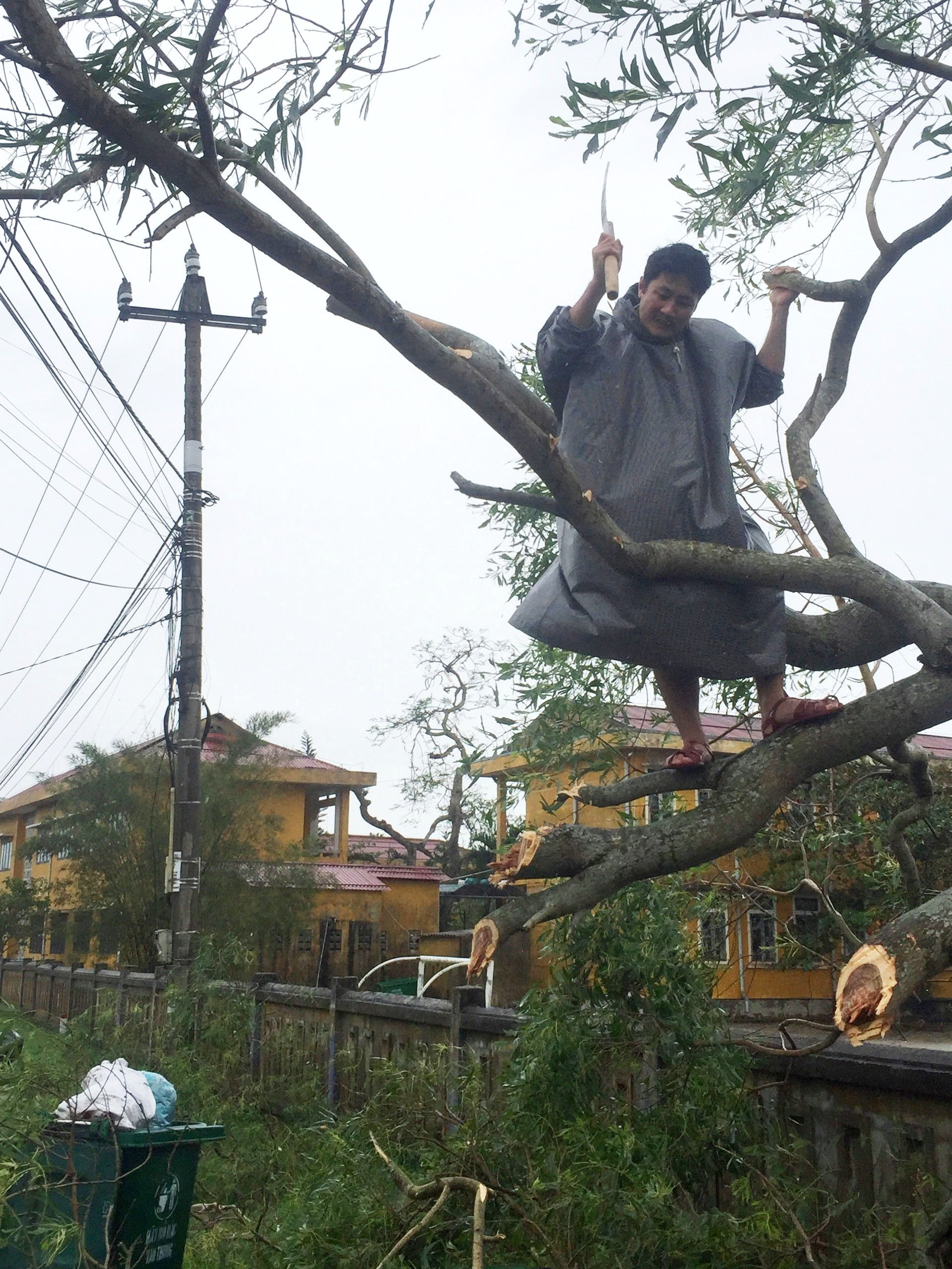 Tàu chìm, nhà sập, trường học tốc mái, cây xanh ngã đổ trong bão số 13 - 11