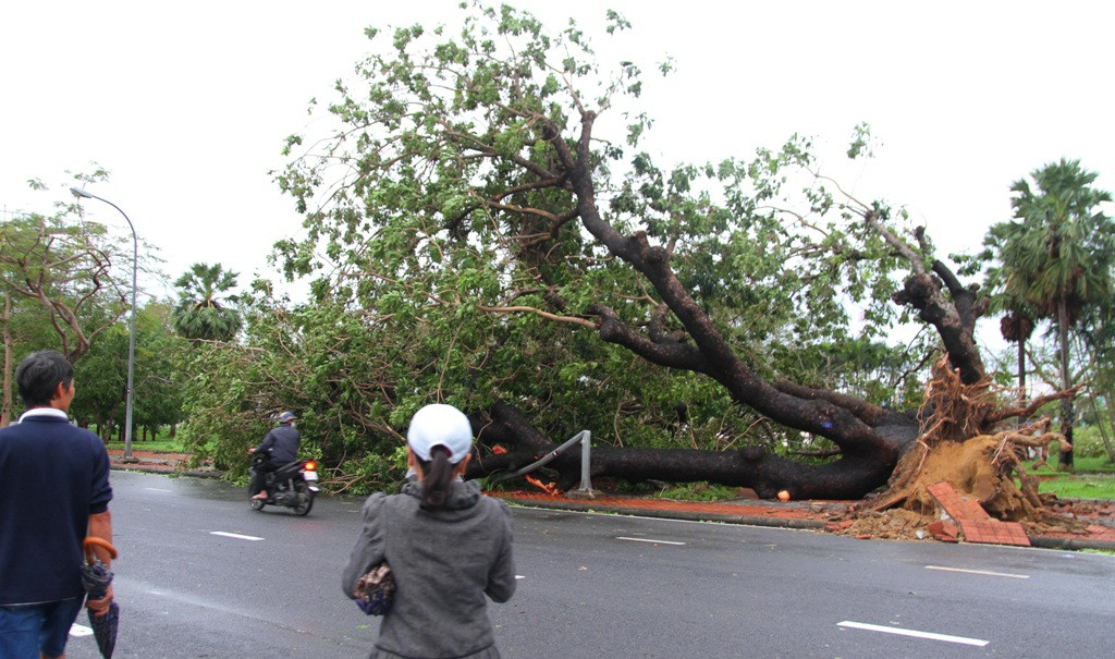 Tàu chìm, nhà sập, trường học tốc mái, cây xanh ngã đổ trong bão số 13 - 22