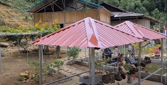 cô thu sao xây nhà 0