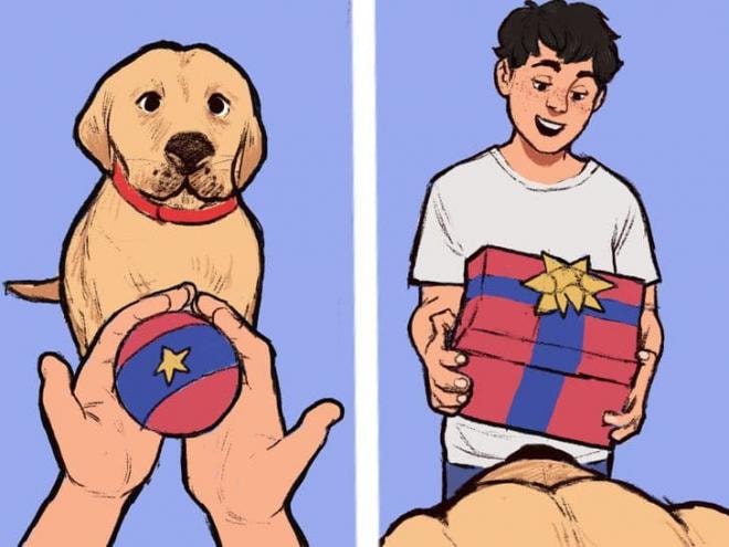 thói quen của chó cưng  8