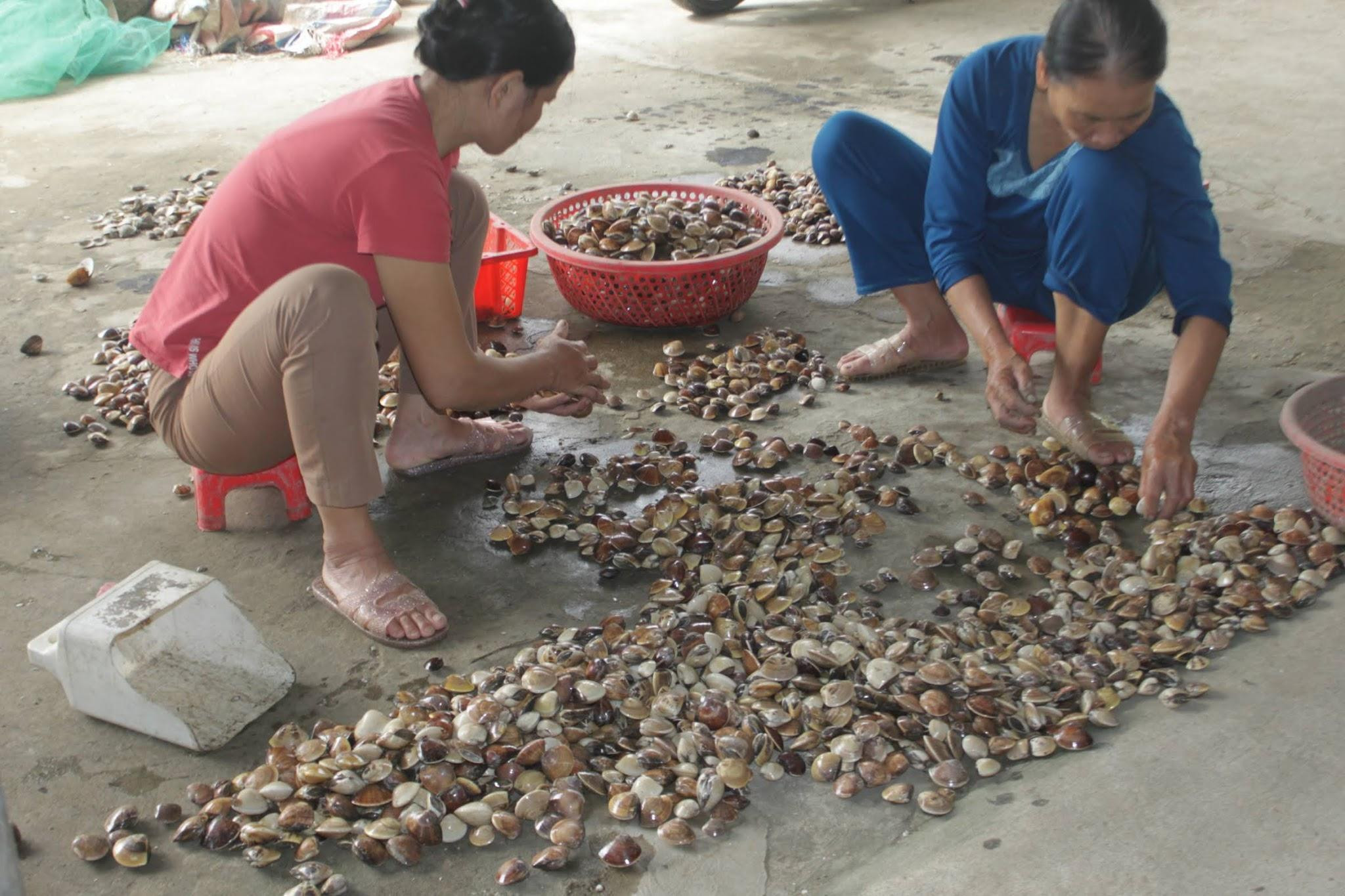 nuoi-ngao-hoang-phu-thanh-hoa-w2048-h1365.jpg