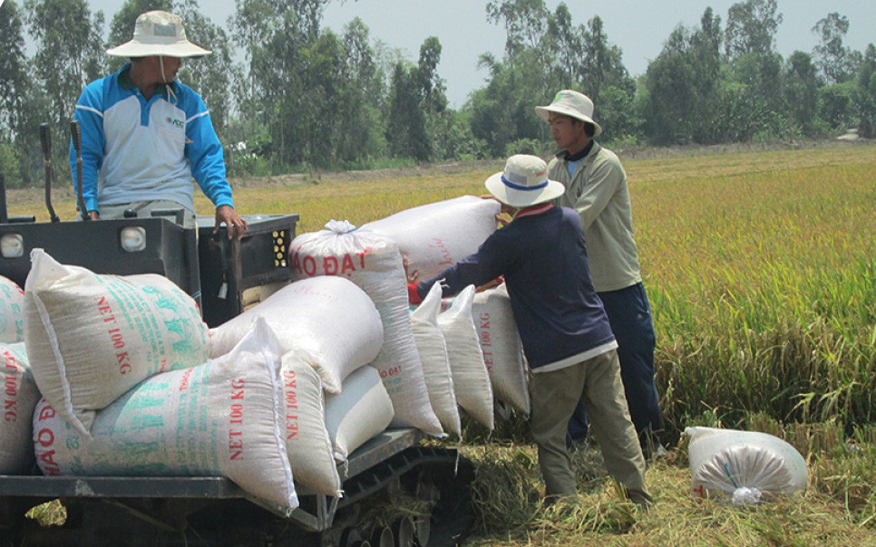 Giá gạo xuất khẩu của Việt Nam tăng cao kỷ lục - Ảnh 1.