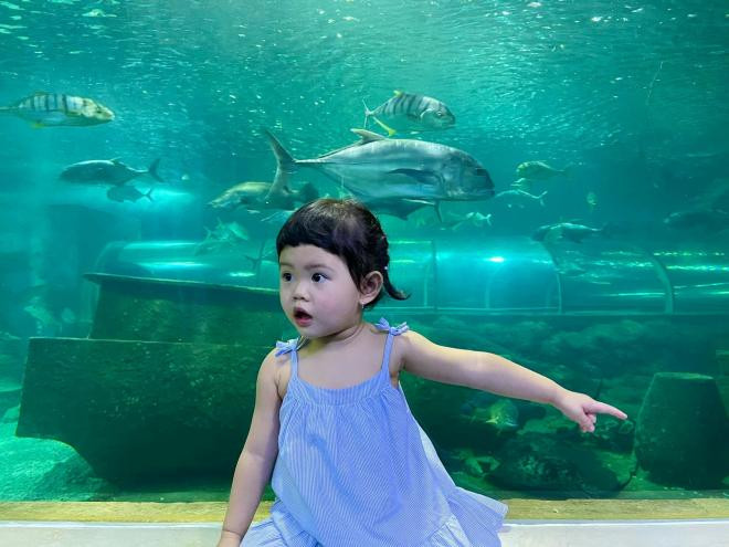 cháu gái Quang Vinh đi du lịch  2