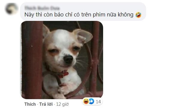 Những màn va chạm đỉnh cao đạo diễn Hollywood cũng chẳng dám quay 0