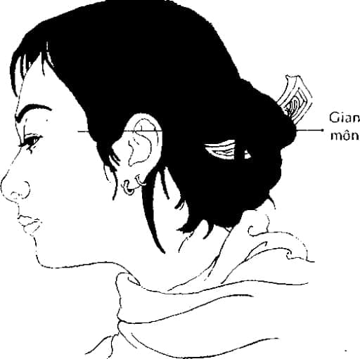 tuong-mat.jpg 0 tuong-mat.jpg 0