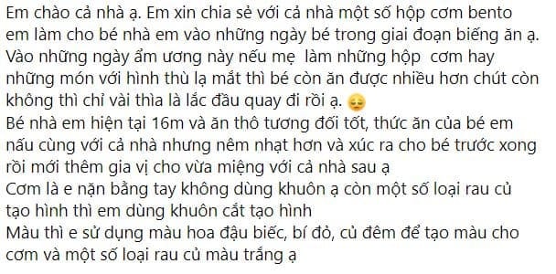 hộp cơm bento  5