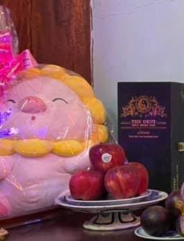 135492435_3520127178056954_5646312359350520836_n-ngoisaovn-w265-h348 0