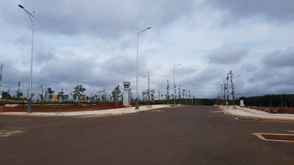 anphu1-w600-h338.jpg