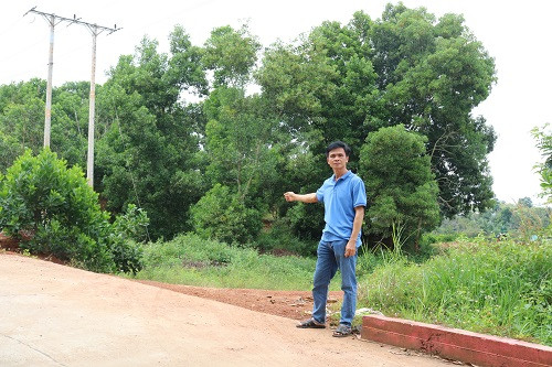 bai-1-le-huu-huong-anh-1-w500-h333.jpg
