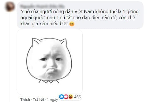 Sau khi 'Cậu Vàng' bị ném đá vì casting chó Shiba, diễn xuất lấy nước mắt hàng triệu khán giả của chú chó ta trong 'Đất Phương Nam' bất ngờ gây sốt trở lại   18