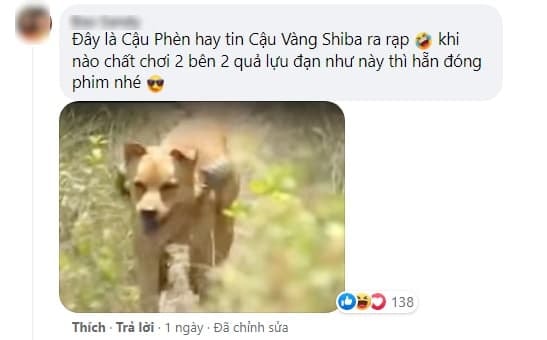 Sau khi 'Cậu Vàng' bị ném đá vì casting chó Shiba, diễn xuất lấy nước mắt hàng triệu khán giả của chú chó ta trong 'Đất Phương Nam' bất ngờ gây sốt trở lại   13
