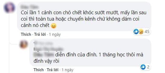 Sau khi 'Cậu Vàng' bị ném đá vì casting chó Shiba, diễn xuất lấy nước mắt hàng triệu khán giả của chú chó ta trong 'Đất Phương Nam' bất ngờ gây sốt trở lại   2