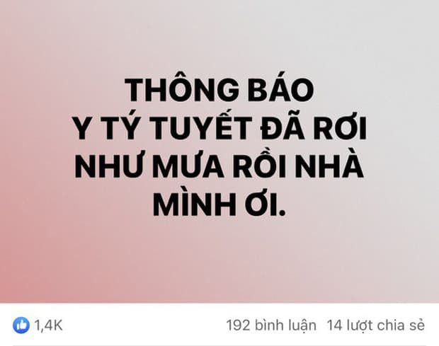 sapa6.jpg 0 sapa6.jpg 0