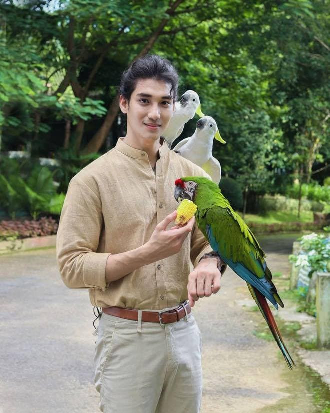 mẫu nam Myanmar 8
