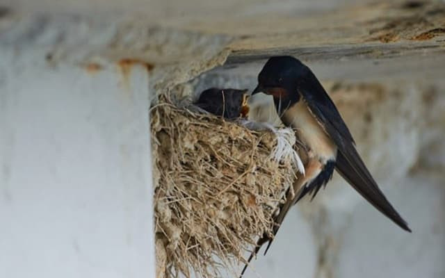 diem-bao-may-man-201-2-ngoisaovn-w640-h400 1 diem-bao-may-man-201-2-ngoisaovn-w640-h400 1