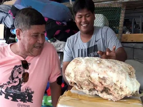 Nhặt được 'cục đá' có mùi hương lạ, người đàn ông bất ngờ khi biết về giá trị hơn 5 tỷ đồng 0