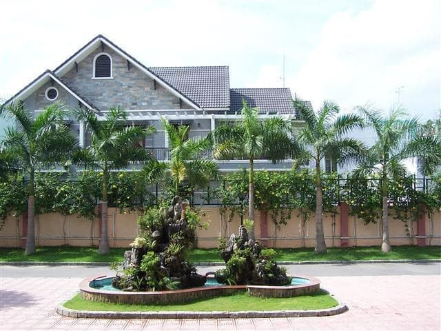 trong-cay-gi-truoc-nha-211 (2).jpg 0