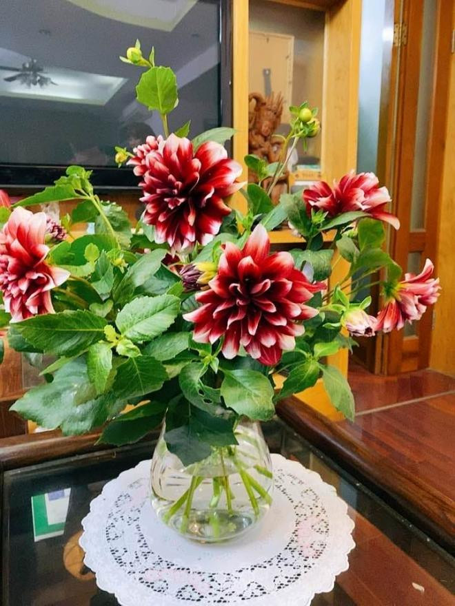 tin sao việt 2/1/2021  2