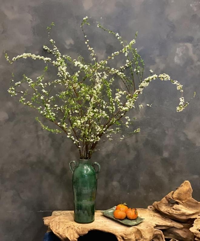 cám hoa tuyết mai  0