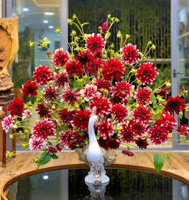 cám hoa tuyết mai  0