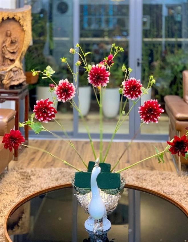 cám hoa tuyết mai  3