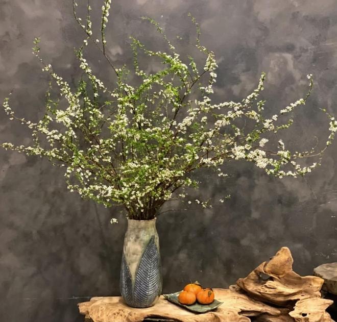 cám hoa tuyết mai  2