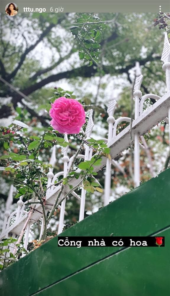 sao Việt trang trí nhà đón Tết 2021 1