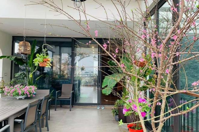 sao Việt trang trí nhà đón Tết 2021 1
