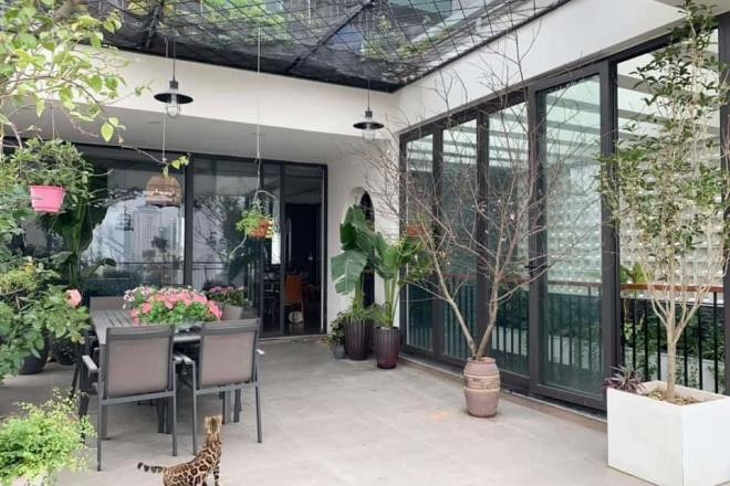 sao Việt trang trí nhà đón Tết 2021 2