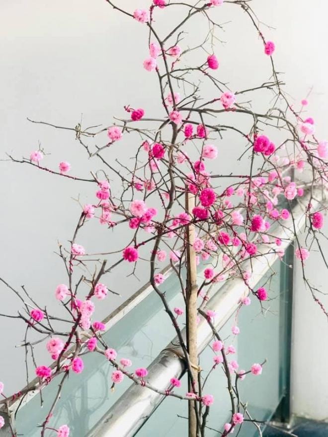 làm hoa đào giả 0
