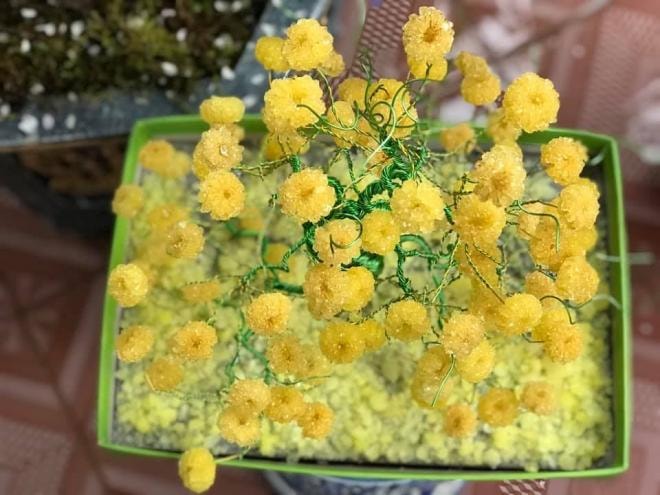 làm hoa đào giả 3