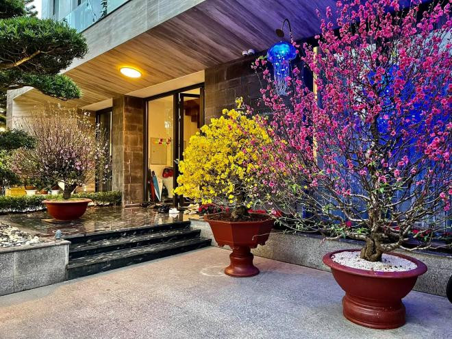 Nguyễn Trần Trung Quân 9 Nguyễn Trần Trung Quân 9