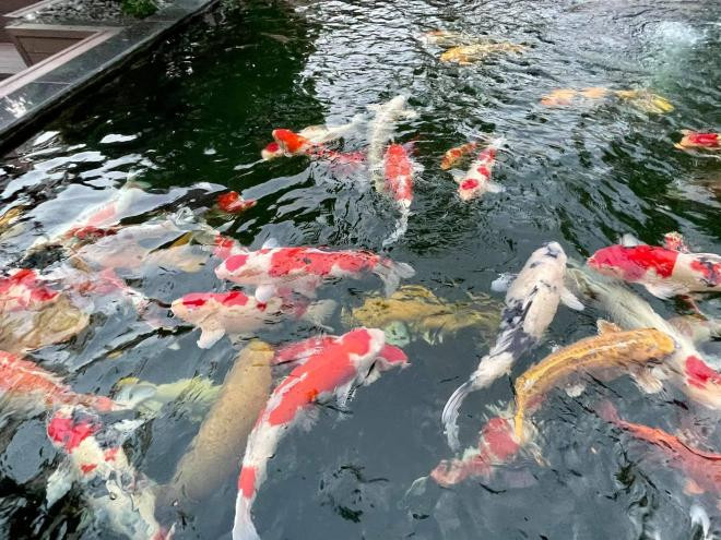 Nguyễn Trần Trung Quân 2 Nguyễn Trần Trung Quân 2