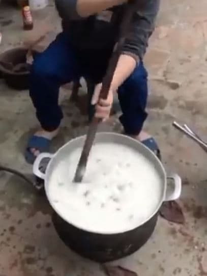 cháo cái  1