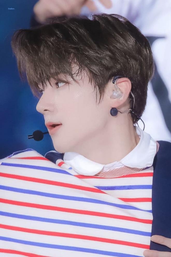 Điểm danh các thành tượng Kpop sở hữu chiếc mũi đẹp hoàn hảo 0