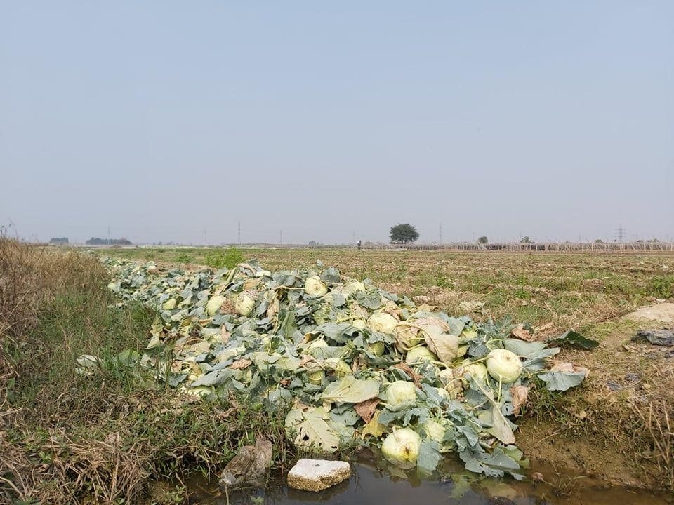 giai-cuu-nong-san-hai-duong2.jpg