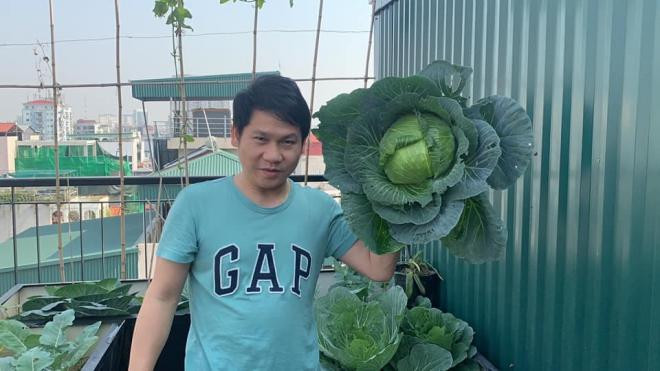 vườn rau nhà trọng tấn 1 vườn rau nhà trọng tấn 1