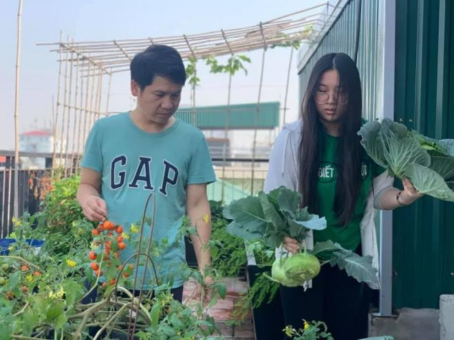 vườn rau nhà trọng tấn 2 vườn rau nhà trọng tấn 2
