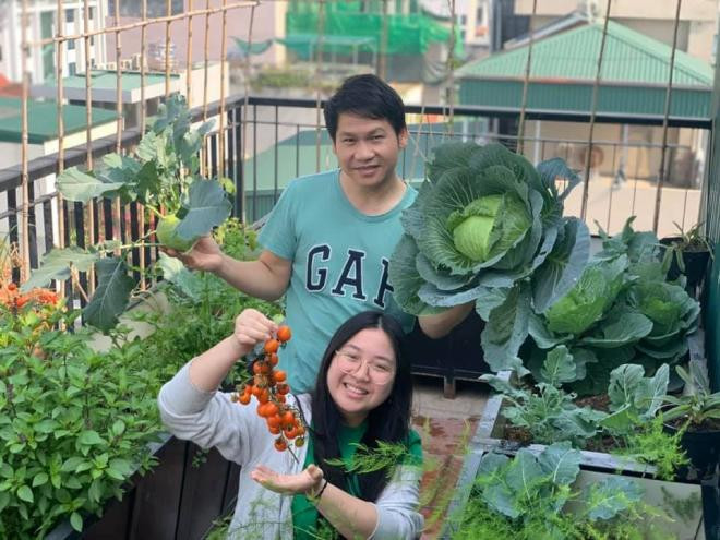 vườn rau nhà trọng tấn 3 vườn rau nhà trọng tấn 3