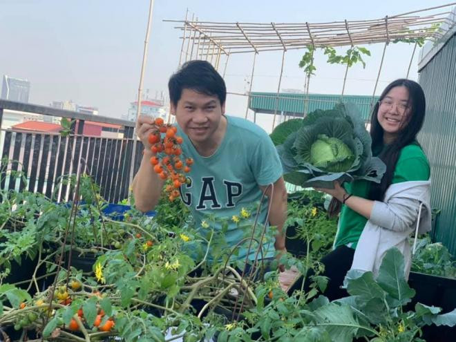 vườn rau nhà trọng tấn 4 vườn rau nhà trọng tấn 4